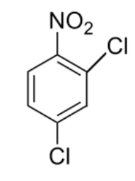2,4 DiChloro Nitro Benzene