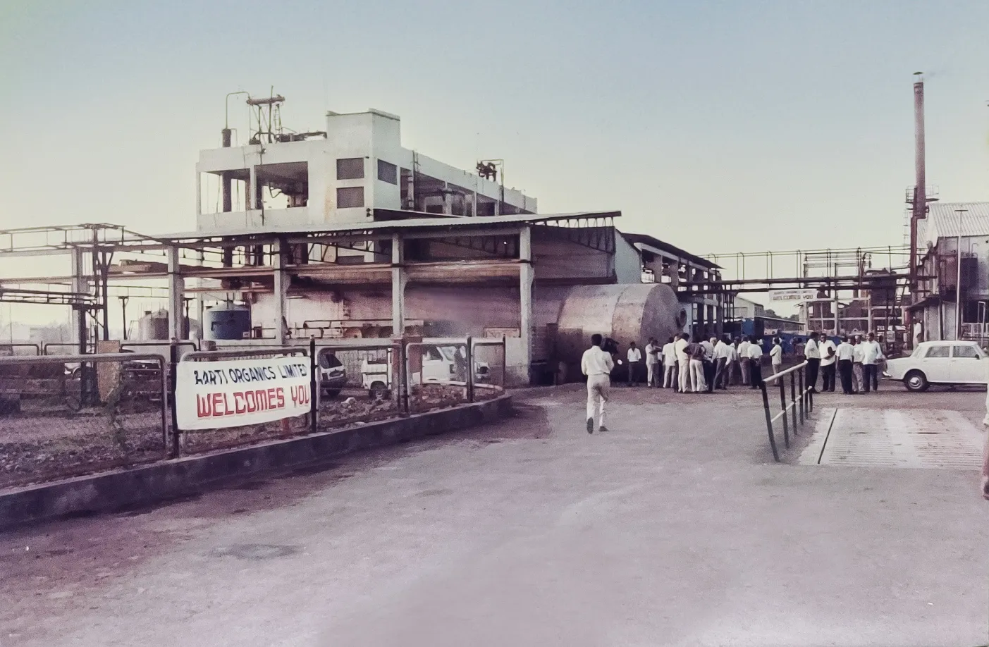 Laying The Roots (1984-2012)